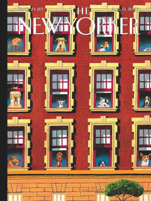 Hot Dogs Magazines and Newspapers By New York Puzzle Co