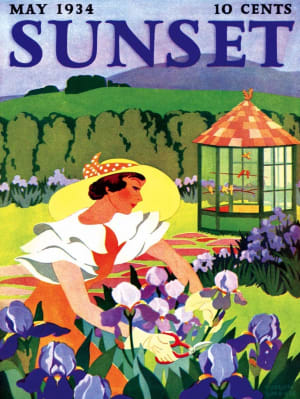 Iris Gardening Magazines and Newspapers By New York Puzzle Co