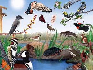 Spring Trail Spring By New York Puzzle Co