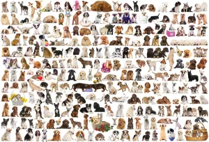 The World of Dogs Pattern & Geometric By Eurographics
