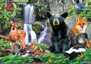 Shenandoah National Parks By MasterPieces