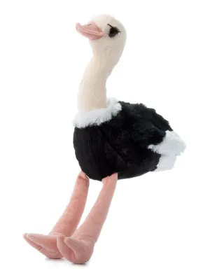 Ostrich MD 12" (29cm) By The Petting Zoo