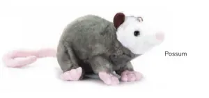 Possum - Wild Onez 8" By Zoologee