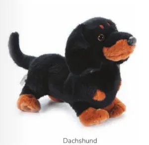 Dog, Dachshund 13" By Zoologee