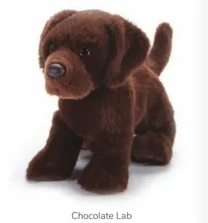 Dog, Chocolate Labrador Retriever 11" By Zoologee