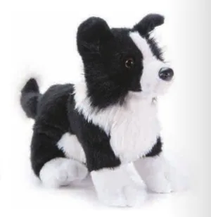 Dog, Border Collie 10" By Zoologee