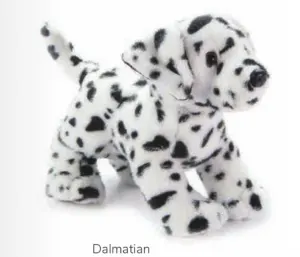 Dog, Dalmatian 11" By Zoologee