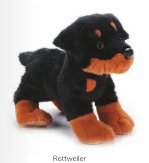 Dog, Rottweiler 11" By Zoologee