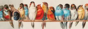 Perch Birds By New York Puzzle Co