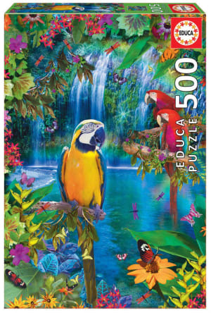 Bird Tropical Land Waterfall By Educa