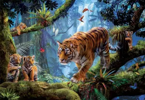 Tigers in the Tree Big Cats By Educa