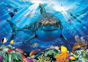 Great White Shark Fish By Educa