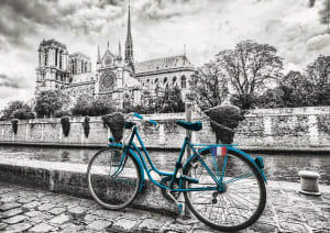 Bike Near Notre Dame Bicycle By Educa