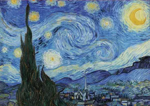 The Starry Night Fine Art By Educa