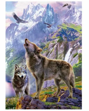 Wolves In The Rocks Wolf By Educa