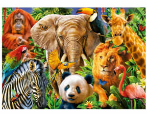 Wild Animal Collage Jungle Animals By Educa