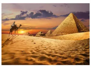 Camel In The Desert Landscape By Educa