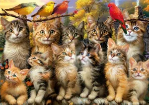 Kittens & Birds Cats By Educa