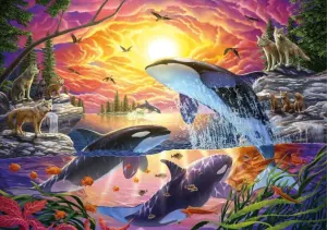 Orcas And Wolves Sea Life By Educa