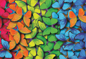 Rainbow Butterflies Rainbow & Gradient By Turner