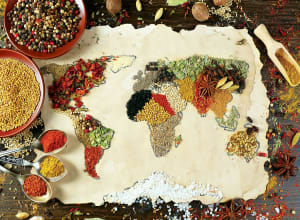 Herbal World Map Food and Drink By Anatolian