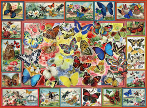 Lots Of Butterflies Butterflies and Insects By Anatolian