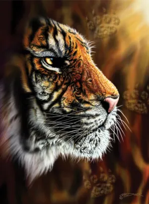 Wild Tiger Big Cats By Anatolian