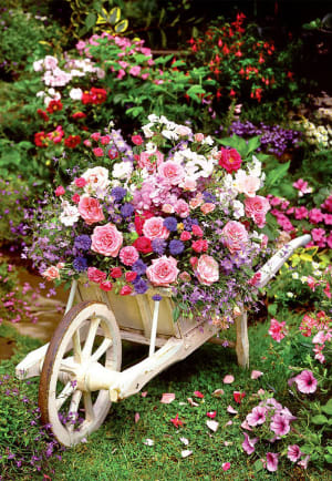 Garden Flowers Mother's Day By Anatolian