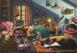 Kitten Play Bedroom Around the House By Anatolian