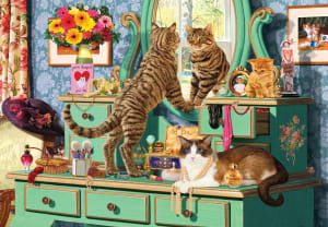Cats Dressing Table Around the House By Anatolian