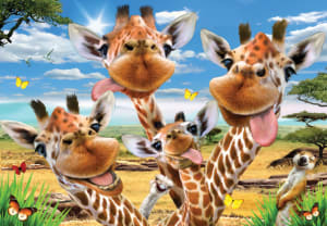 Giraffe Selfie Safari Animals By Anatolian