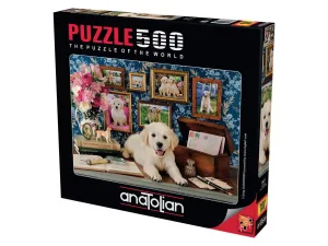 Labrador Around the House By Anatolian