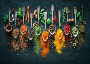 Herbs and Spices Food and Drink By Magnolia