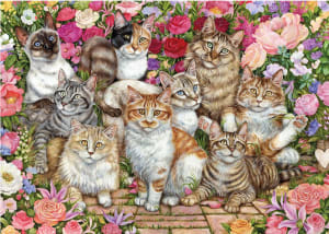 Floral Cats Flower & Garden By Falcon
