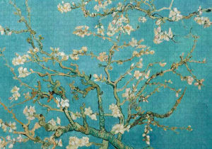 Almond Blossom Flower & Garden By Puzzlelife