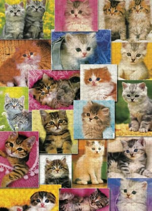 Kittens Cats By Puzzlelife