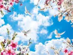 Beautiful Sky Landscape Jigsaw Puzzle By Puzzlelife