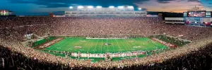 Florida State Sports By MasterPieces