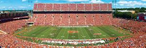 Clemson University - Scratch and Dent Photography By MasterPieces