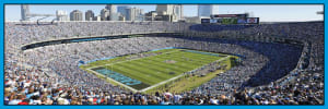 Carolina Panthers Sports By MasterPieces