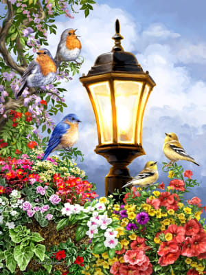 Song of Summer Flower & Garden By Springbok