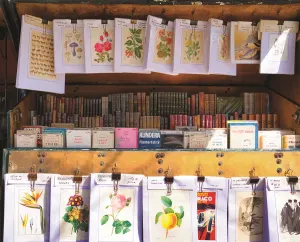 Parisian Library Books & Reading By Springbok