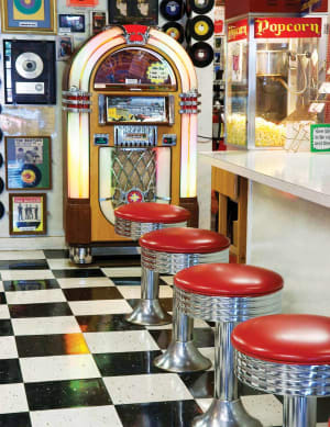 Puzzles to Remember: The Malt Shop Nostalgic & Retro By Springbok