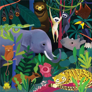 Jungle Illuminated Animals By Mudpuppy