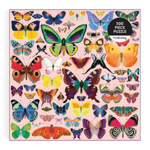 Brilliant Butterflies Butterflies and Insects By Mudpuppy