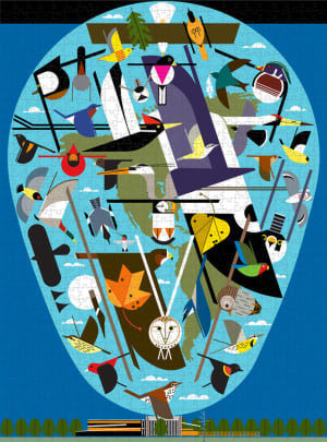 The World of Birds Birds By Pomegranate