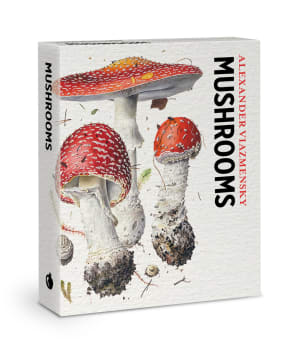 Mushrooms: Alexander Viazmensky Knowledge Cards By Pomegranate