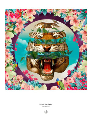 David Krovblit: Vision Quest Big Cats By Pomegranate