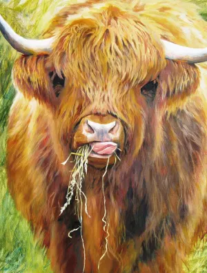 Highland Cow Animals By All Jigsaw Puzzles
