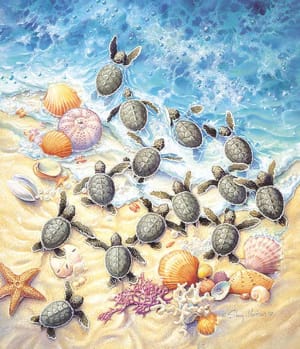 Green Turtle Hatchlings Reptile & Amphibian By SunsOut